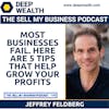 Most Businesses Fail. Here Are 5 Tips That Help Grow Your Profits (#188)