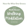 Mindful Moment: Walking Meditation (40)