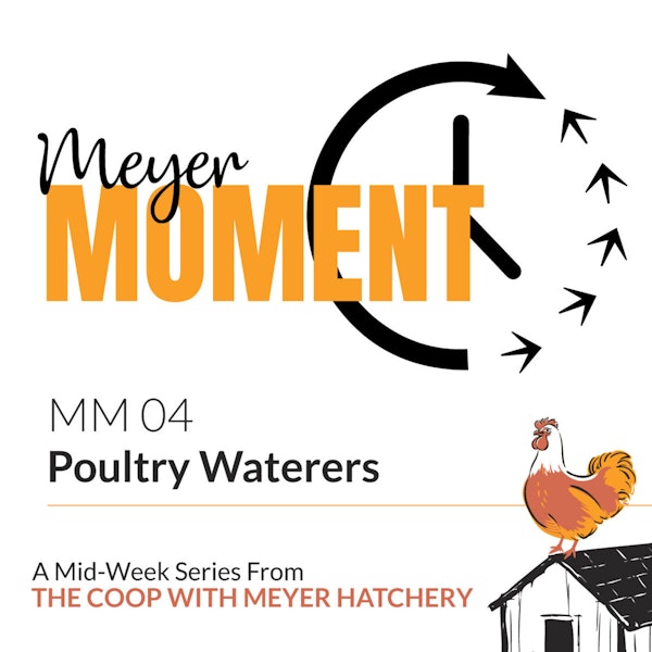 Meyer Moment: Poultry Waterers + National Humor Month!