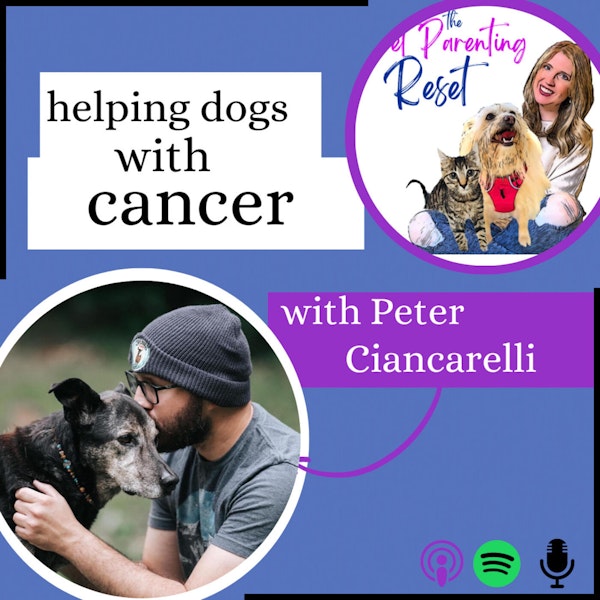 67. Helping Pets and their parents with Cancer