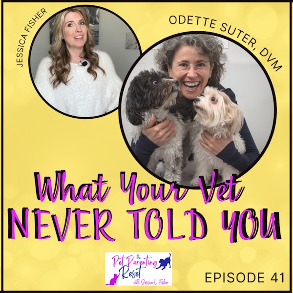 Dr. Odette Suter, DVM: What Your Vet Never Told You