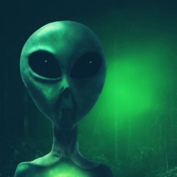 Little Green Men or Collective Hallucinations: Craziness in Kentucky.