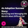 An Adoption Success Story: Nurturing and Managing the World's Most Difficult Cat