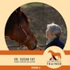 Dr. Susan Fay -  Sacred Spaces - Communicating with the Horse through Science and Spirit - S1 E10