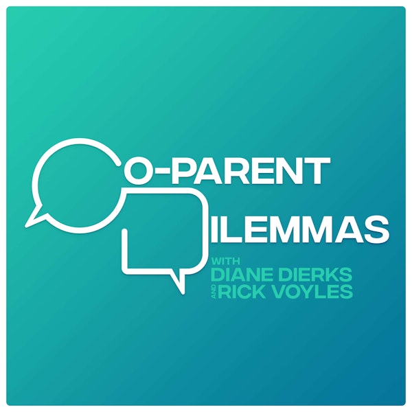 27. Let’s Fight about Semantics! Defining parenting plan terms