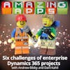 Six challenges of enterprise Dynamics 365 projects with Andrew Bibby and Dani Kahil