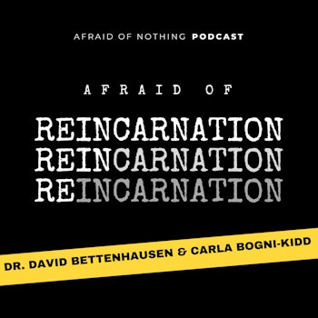 Afraid of Reincarnation