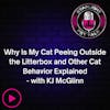 Why Is My Cat Peeing Outside the Litterbox and Other Cat Behavior Explained- with KJ McGlinn