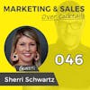 046: Can Sales and Marketing REALLY Work Together? with SHERRI SCHWARTZ