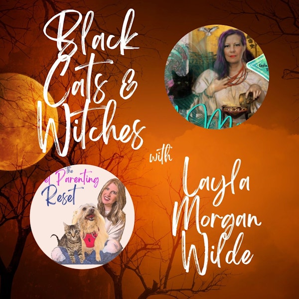 Black Cats & Witches Halloween Special with Layla Morgan Wilde