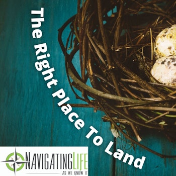42. The Right Place To Land - Finding the Best Nest