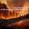 069 - Challenging fires at the wildland-urban interface (WUI) with Michael Gollner