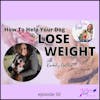 How To Help Your Dog Lose Weight with Kimberly Gauthier of Keep The Tail Wagging