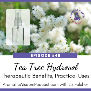 AWP 048: Tea Tree Hydrosol Therapeutic Benefits and Practical Uses