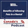 Benefits of Allowing Pets in a Rental
