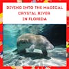 Diving into the Magical Crystal River in Florida