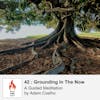 42 : Meditation - Grounding In The Now