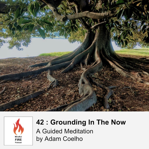 42 : Meditation - Grounding In The Now