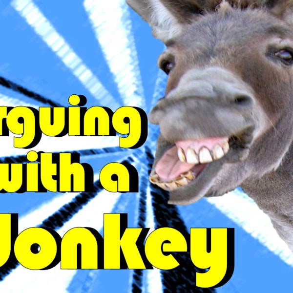 Arguing with a donkey