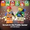 Scrum in the Public Sector with Seth Bacon