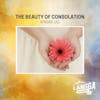 LSP 152: The Beauty of Consolation