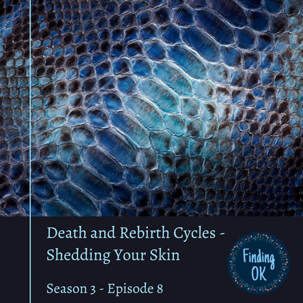 Death and Rebirth Cycles - Shedding Your Skin