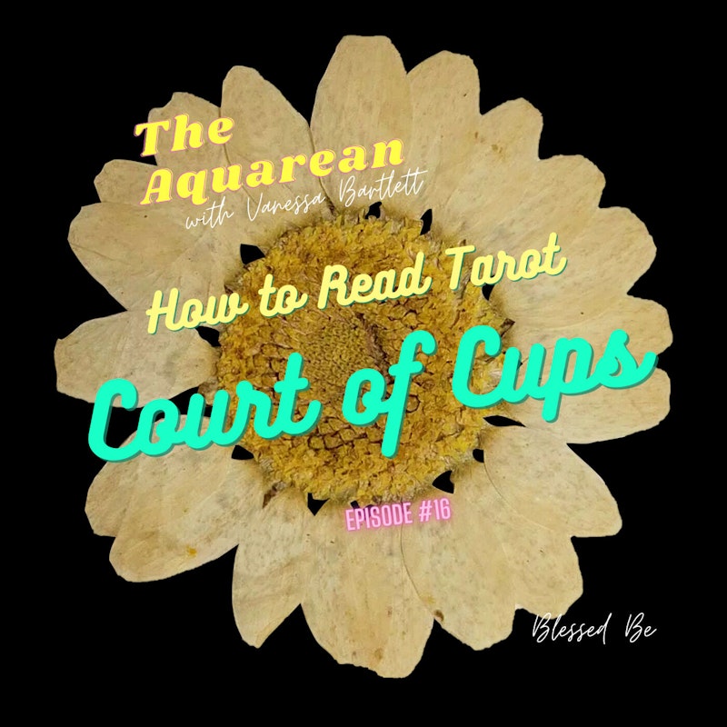 How To Read Tarot - The Court of Cups
