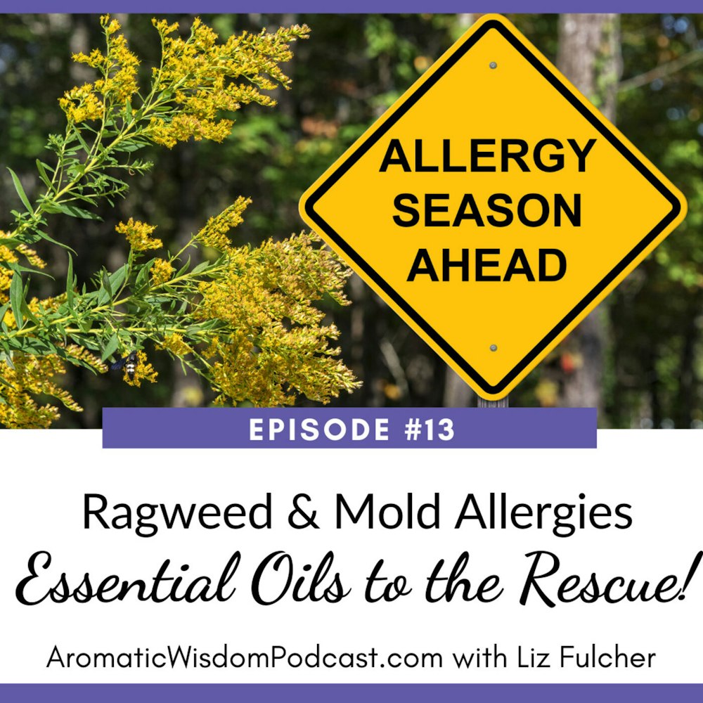 AWP 013: Ragweed and Mold Allergies: Essential Oils to the Rescue!