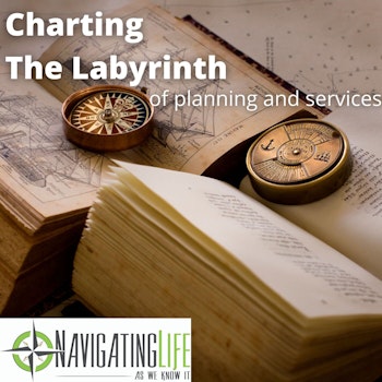 36. Charting The Labyrinth of Planning and Services