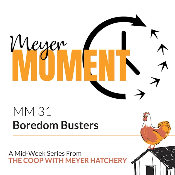 Meyer Moment: Boredom Busters