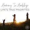 Harmony In Hardship Life's True Priorities 187