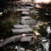 Turning Obstacles into Stepping Stones