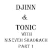 S2 E15 Djinn & Tonic with Nineveh Shadrach