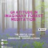 Episode image for Gratitude in Imaginary Forest Meditation