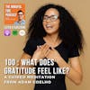 100 : Meditation : What Does Gratitude Feel Like?