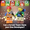 Can a Scrum Team Have Just One Developer?