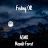 ASMR Moonlit Forest