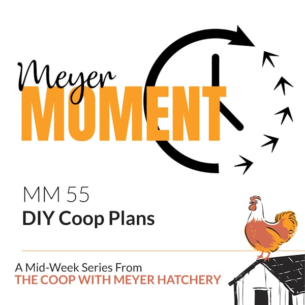 Meyer Moment: DIY Coop Plans