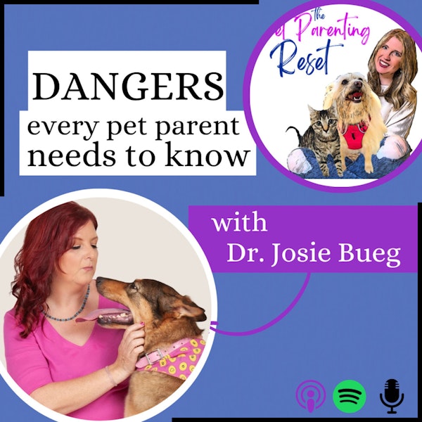 DANGERS Every Pet Parent Needs To Know