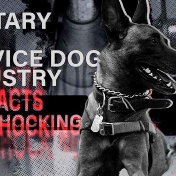 EP28: Military Working Dogs and Service Dogs - The FACTS