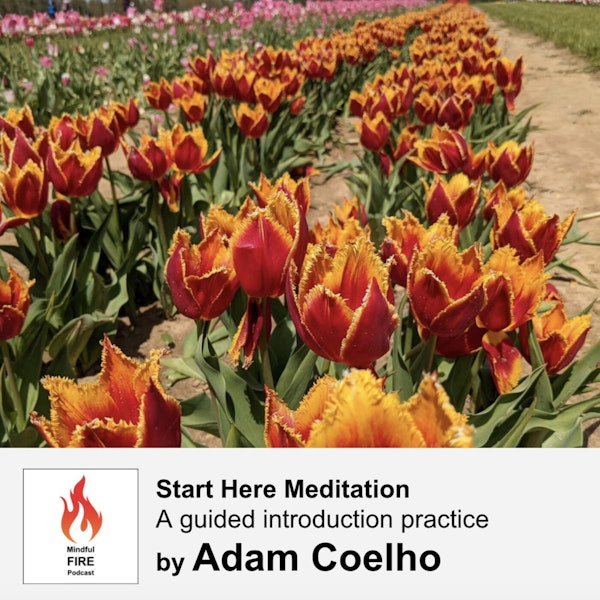 27 : Start Here Meditation - A guided introduction practice (15 mins)