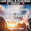 The Power of Small Things: The Between Times