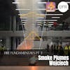 100 - Fire Fundamentals pt. 3 - Smoke plumes (and other flow phenomena) with Wojciech