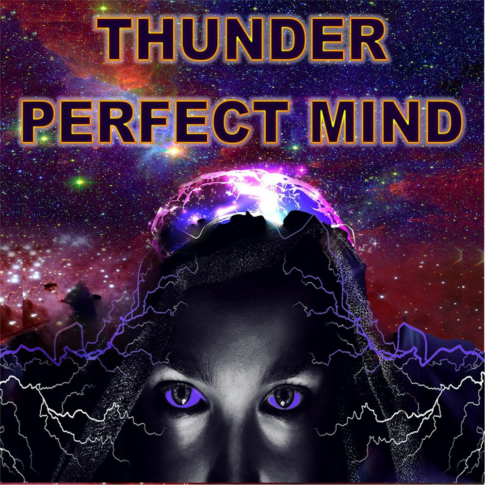 The Thunder, Perfect Mind