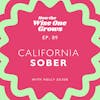 California Sober: Cannabis, Psilocybin, and the Substance Spectrum in Sober Curious Part 2 (89)