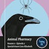 Animal Pharmacy