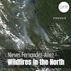 138 - Getting ready for the Wildfires in Northern Europe with Nieves Fernandez-Anez