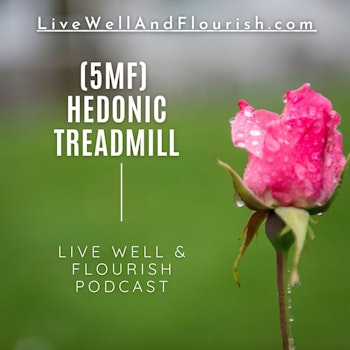 Hedonic treadmill: The dulling of shiny new things (5MF)