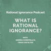 What is rational ignorance?
