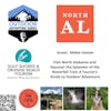 Melea Hames - Visit North Alabama and  Discover the Splendor of the Waterfall Trail: A Tourist's Guide to Outdoor Adventure